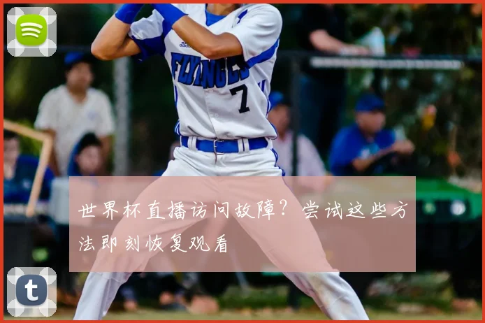 世界杯直播访问故障?尝试这些方法即刻恢复观看