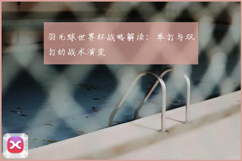 羽毛球世界杯战略解读:单打与双打的战术演变