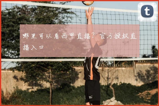 哪里可以看西甲直播?官方授权直播入口