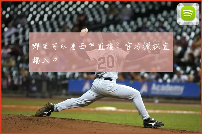 哪里可以看西甲直播？官方授权直播入口