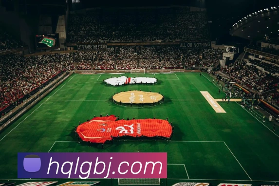 滚球官网app平台生态图