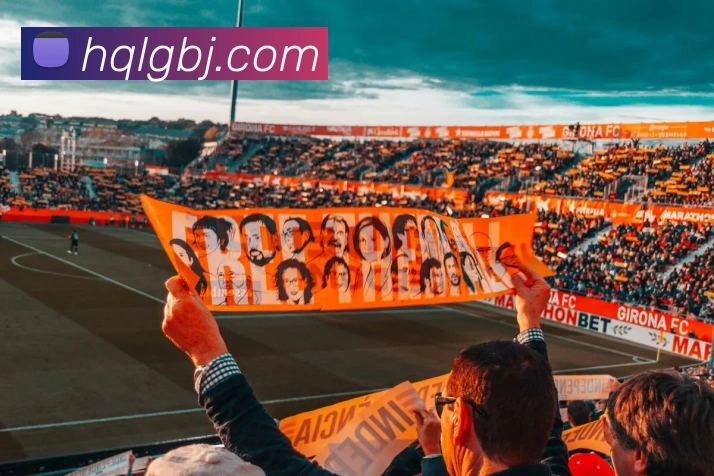 滚球官网appAPP 封面图